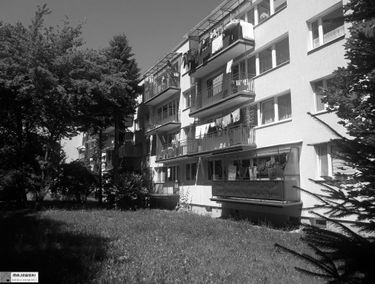 Zdjęcie 15414674