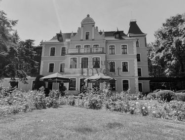 Zdjęcie 15414850