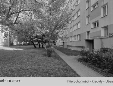 Zdjęcie 15417386