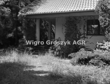 Zdjęcie 15418619