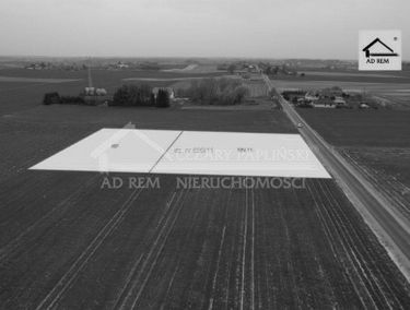 Zdjęcie 15420511