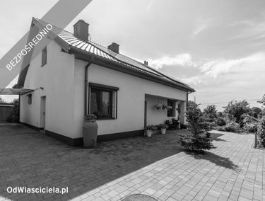Zdjęcie 15420713