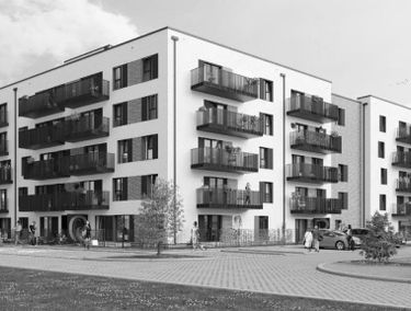 Zdjęcie 15421242