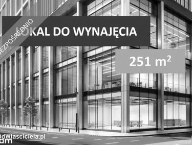 Zdjęcie 15423638