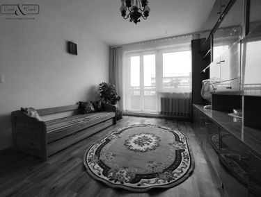 Zdjęcie 15424422