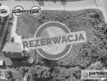 Zdjęcie 15424429