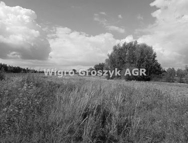 Zdjęcie 15424692