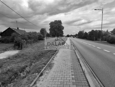 Zdjęcie 15425084