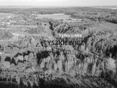 Zdjęcie 15425713