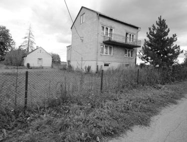 Zdjęcie 15425724