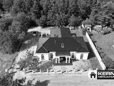 Zdjęcie 15426334