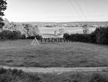 Zdjęcie 15426489