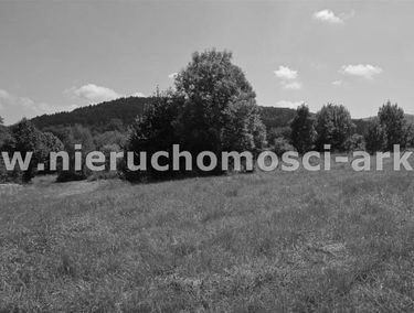 Zdjęcie 15426856
