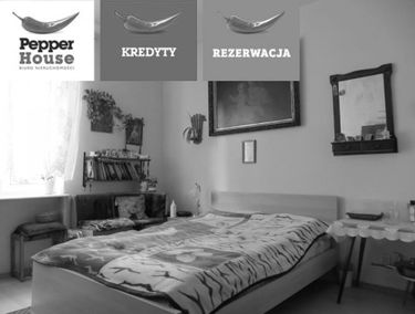 Zdjęcie 15429126