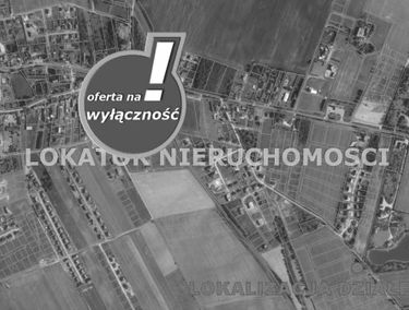 Zdjęcie 15431169