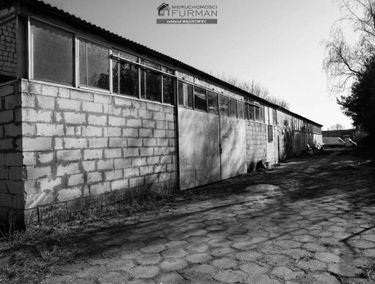 Zdjęcie 15431302