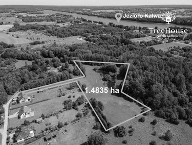 Zdjęcie 15432951