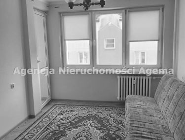 Zdjęcie 15433189