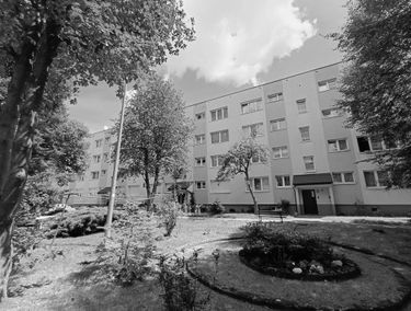 Zdjęcie 15434512