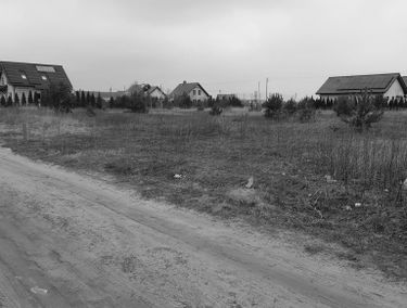 Zdjęcie 15435004