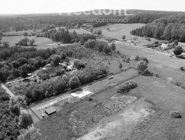 Zdjęcie 15435107