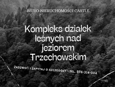Zdjęcie 15436184