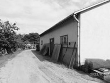 Zdjęcie 15438722