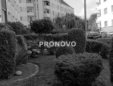 Zdjęcie 15438882