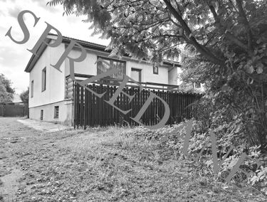 Zdjęcie 15440531