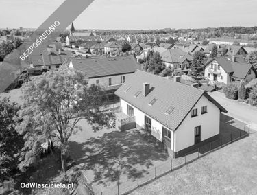 Zdjęcie 15441959