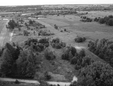 Zdjęcie 15442378