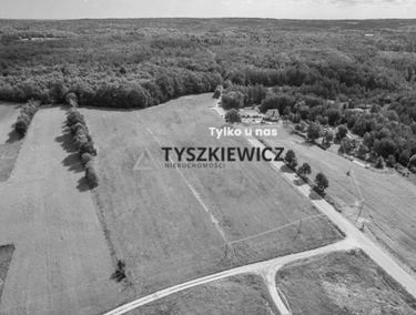 Zdjęcie 15442452