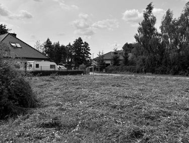 Zdjęcie 15444227