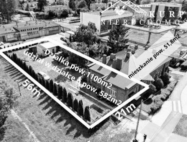 Zdjęcie 15444274