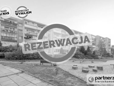 Zdjęcie 15445707