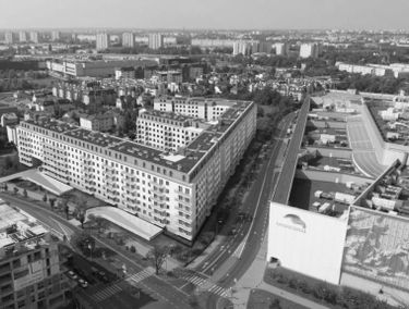 Zdjęcie 15445785