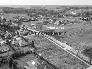 Zdjęcie 15445953