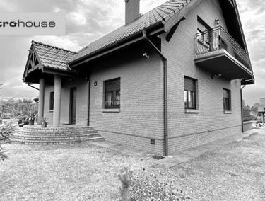 Zdjęcie 15446031