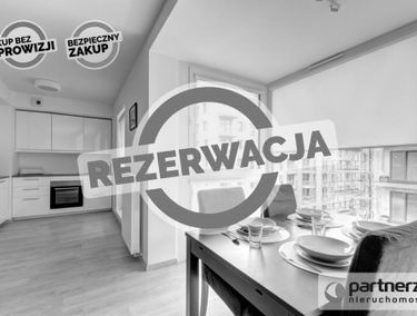Zdjęcie 15446259