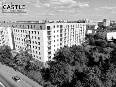 Zdjęcie 15446291