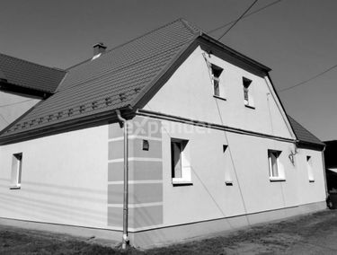 Zdjęcie 15446645