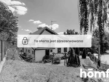 Zdjęcie 15447317