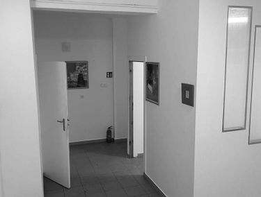Zdjęcie 15447492