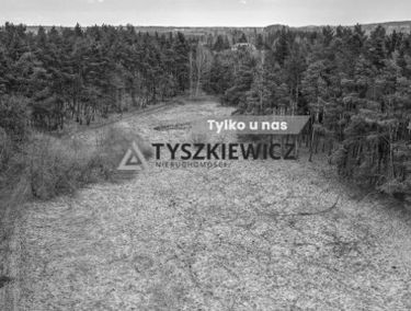 Zdjęcie 15447735