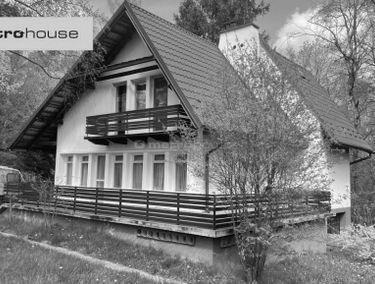 Zdjęcie 15448122
