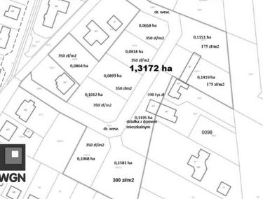 Zdjęcie 15448178