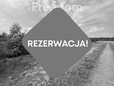 Zdjęcie 15448836