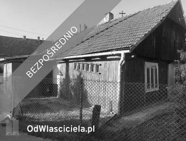 Zdjęcie 15448848