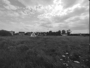 Zdjęcie 15448879