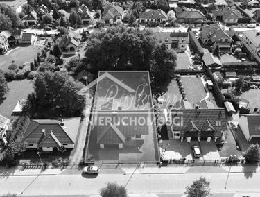 Zdjęcie 15449104